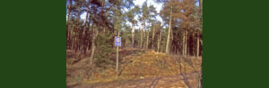 Oher Gräberfeld